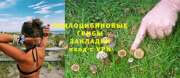 индика Балабаново
