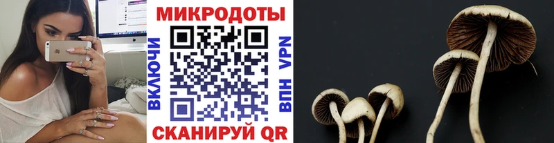 Псилоцибиновые грибы Psilocybe цены наркотик Чистополь